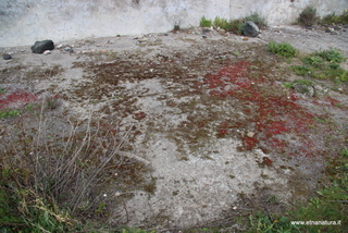 ammena-26-02-2023 14-12-46